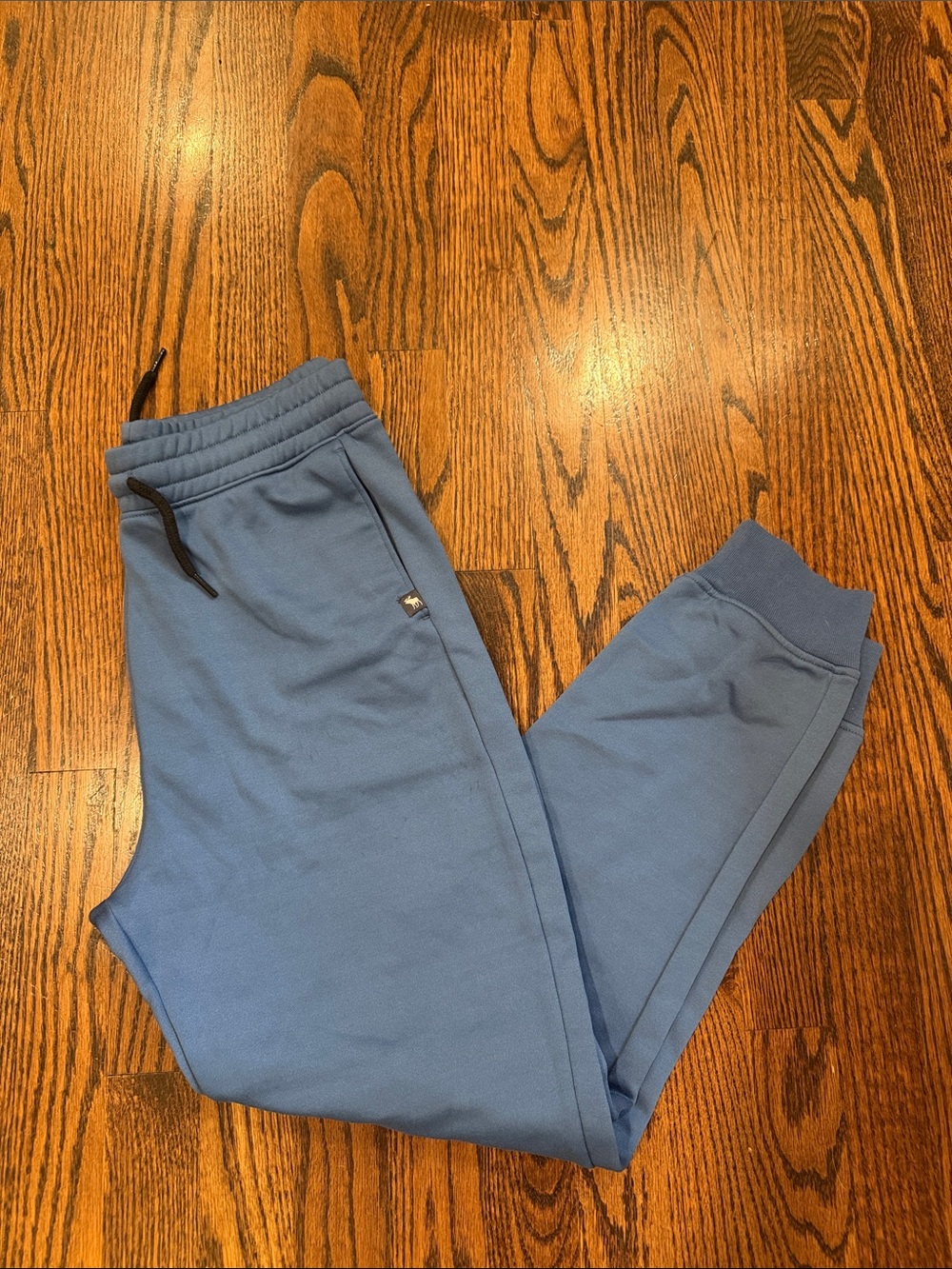 Abercrombie Kids Blue Pull-On Jogger Size 13/14